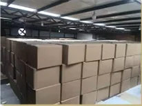 Soft Plush Floor Carpet