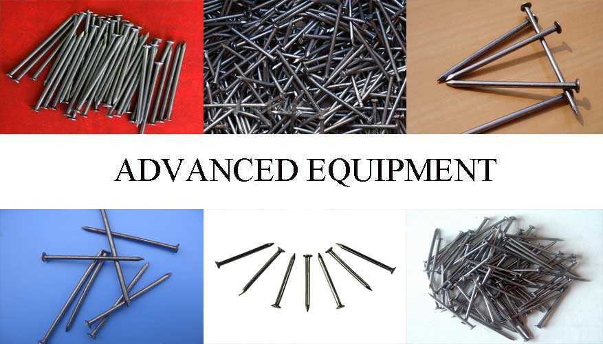 High quality product of Stell Nail High quality product of Steel Nail