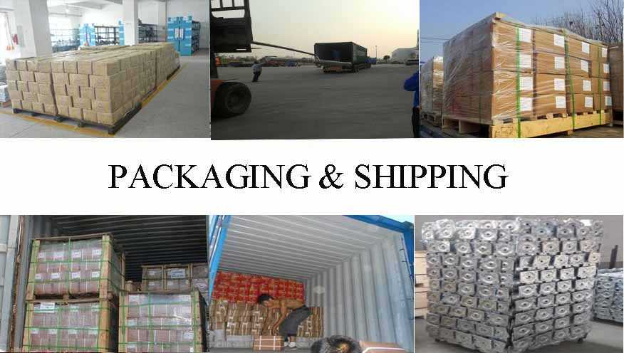 packing&shipping of professional and hot sale self drilling screw supplier in China