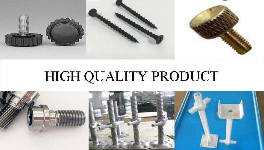 high quality product of furniture screw with the best price