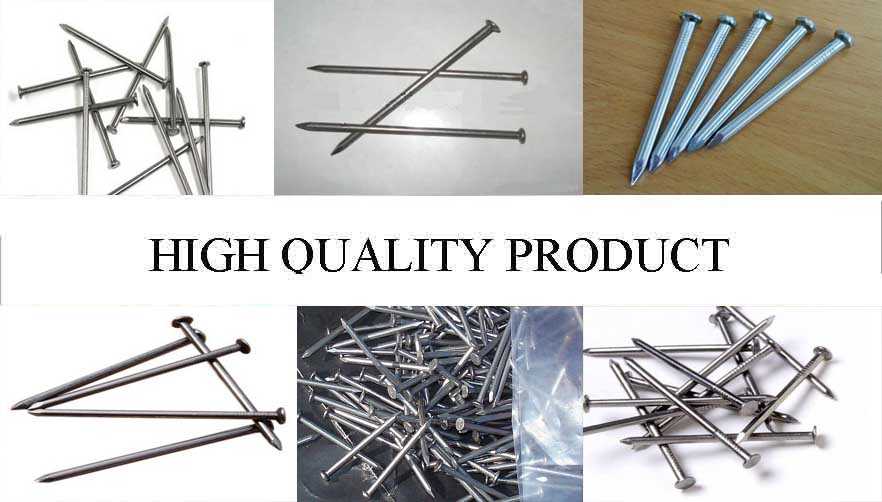 High quality product of Galvanized concrete steel nails/bulk nails factory