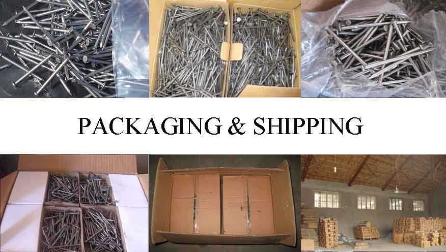 Packaging & Shipping of Galvanized concrete steel nails/bulk nails factory