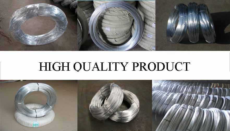 High quality product of Hot dipped galvanized wire
