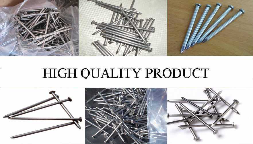 High qualtiy product of Galvanized Steel Nails