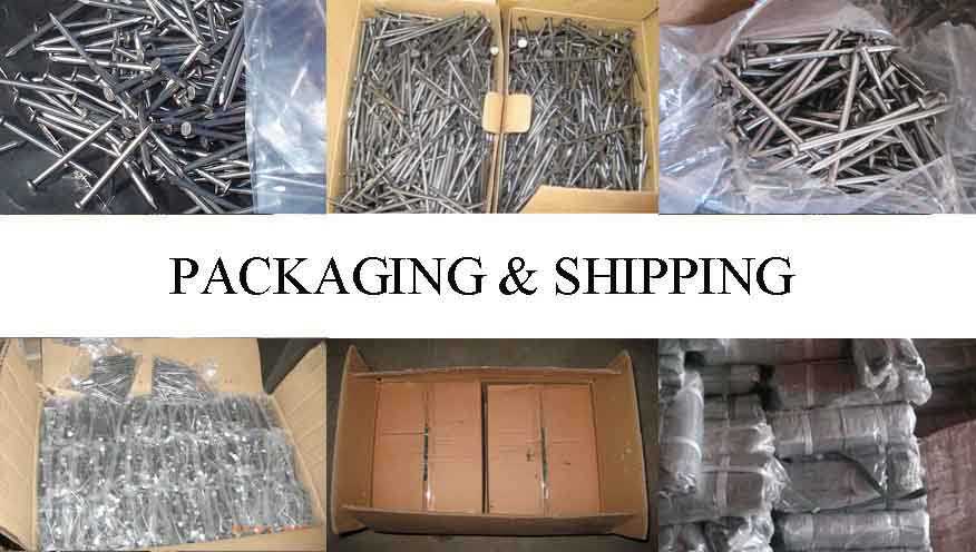 Packaging & Shipping of Galvanized Steel Nails