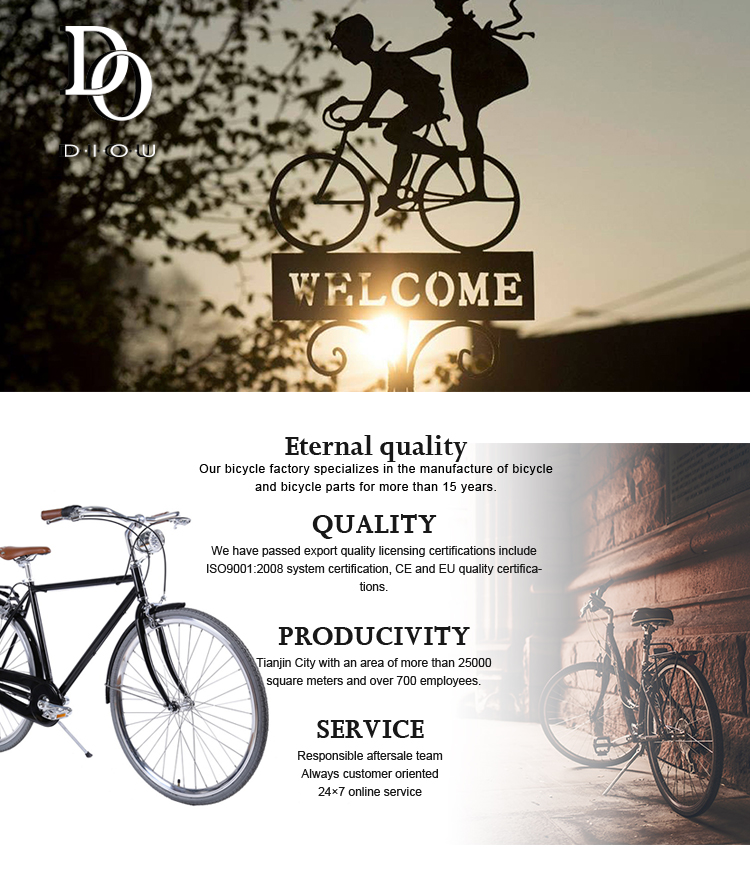 Back Alloy Urban Road Bike